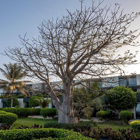 Noom Hotel Dakar Sea Plaza, A Member Of Radisson Individuals Eksteriør bilde A tree in the resort